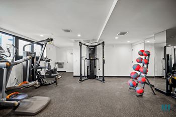 Well-equipped fitness center with assortment of medicine balls, free weights, treadmills, and universal exercise equipment